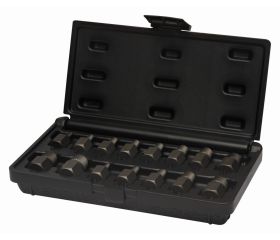 Juego de puntas extractoras