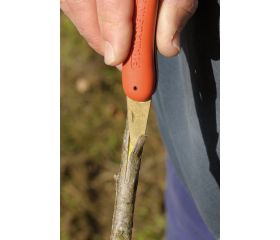 Navajas plegables para injertar con mango de plástico | P11