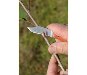 Navajas plegables para injertar con mango de plástico | P11