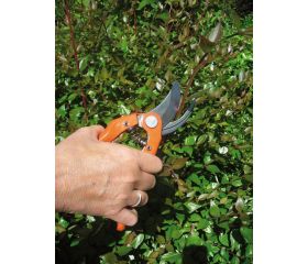 Tijeras de podar de una mano de corte deslizante con mangos de acero sellado presionado y cabeza de corte angulada | P121