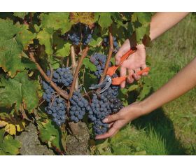 Tijeras de vendimia de una mano con mango de fibra de vidrio | P123