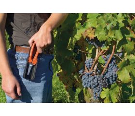 Tijeras de vendimia cortas y rectas con mango de fibra de vidrio | P127