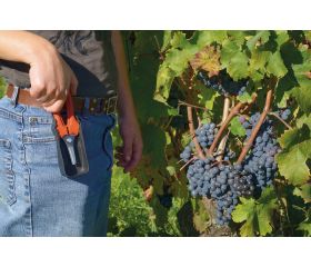 Tijeras de vendimia cortas y rectas con mango de fibra de vidrio | P127