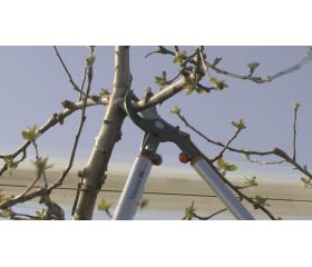 Tijeras de podar de dos manos de corte deslizante de 55 mm, profesionales y ligeras, con mango de aluminio | P280-SL