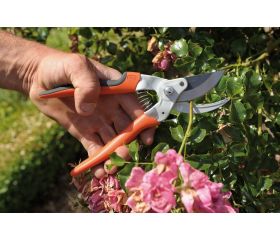 Tijeras de podar de una mano de corte deslizante con mangos de acero forjado y cabezal de corte estrecho | P5