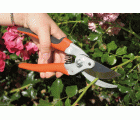Tijeras de podar de una mano de corte deslizante con mangos de acero forjado y cabezal de corte estrecho | P5