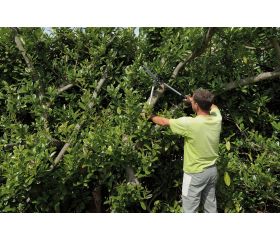 Cortasetos ligeros y extralargos para industria pesada con mango de aluminio | P51H-SL