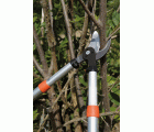 Tijeras de podar de dos manos de corte deslizante telescópicas, para expertos, de 40&nbsp;mm y con mango bi-componente | PG-19