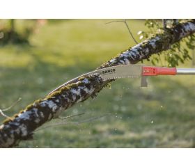 Serruchos de poda para pértigas de corte basto | ASP-AS-C-C