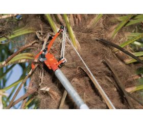 Tijeras de podar de altura con triple acción de polea | P34-37