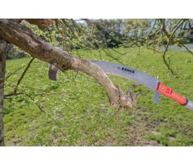 Serruchos de poda para pértigas de corte basto | ASP-AS-C-C