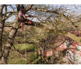 Serruchos de poda para pértigas de corte medio | ASP-AS-C-M