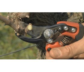 Tijeras de podar de una mano de corte deslizante ERGO™ con mango fijo recubierto de elastómero | PX