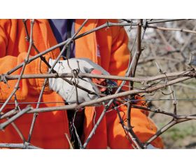 Tijeras de podar de una mano de corte deslizante ERGO™ con mango fijo recubierto de elastómero | PX