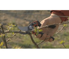 Tijeras de podar de una mano de corte deslizante ERGO™ con mango giratorio recubierto de elastómero | PXR