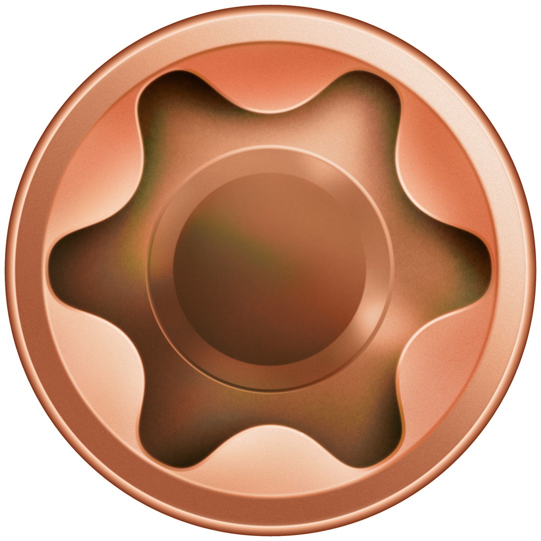 SPAX Tornillo para terraza, 5 x 50 mm, 200 unidades, Rosca de fijación, Cabeza cilíndrica, T-STAR plus T25, Punta CUT, Acero inoxidable A2 acabado bronce