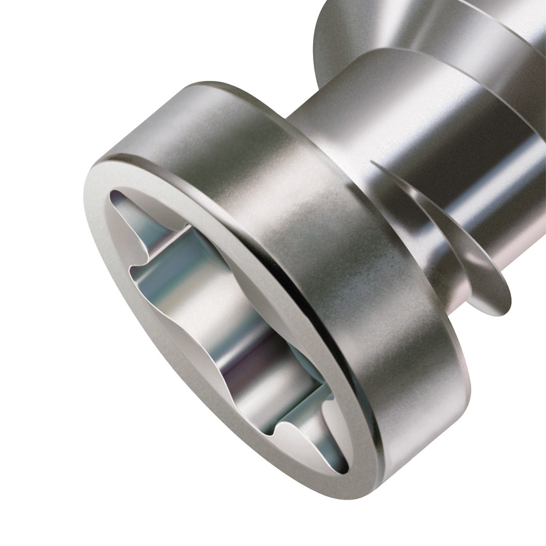 SPAX Tornillo para terraza, 5 x 40 mm, 125 unidades, Rosca de fijación, Cabeza cilíndrica, T-STAR plus T25, Punta CUT, Acero inoxidable A2