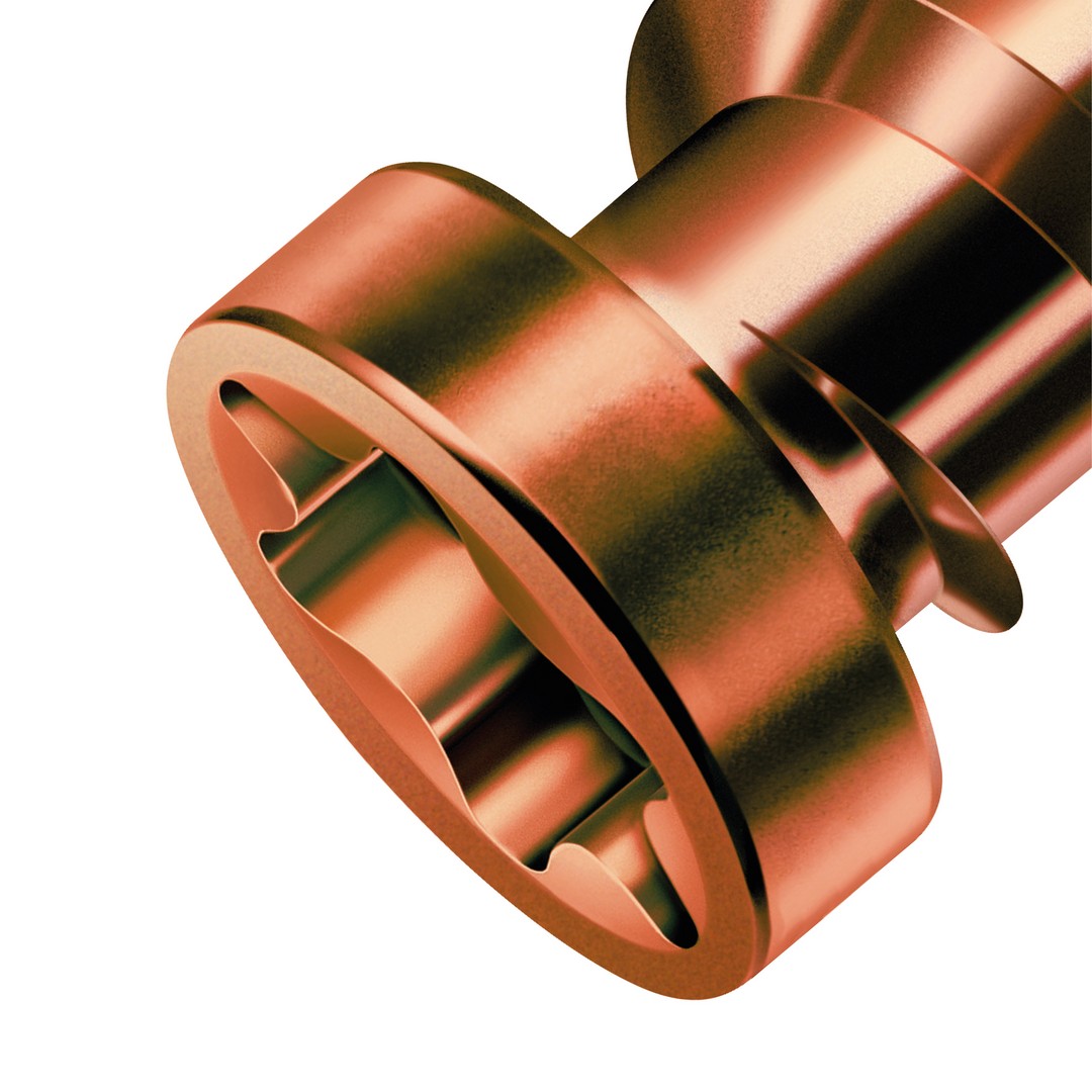 SPAX Tornillo para terraza, 5 x 50 mm, 230 unidades, Rosca de fijación, Cabeza cilíndrica, T-STAR plus T25, Punta CUT, Acero inoxidable A2 acabado bronce