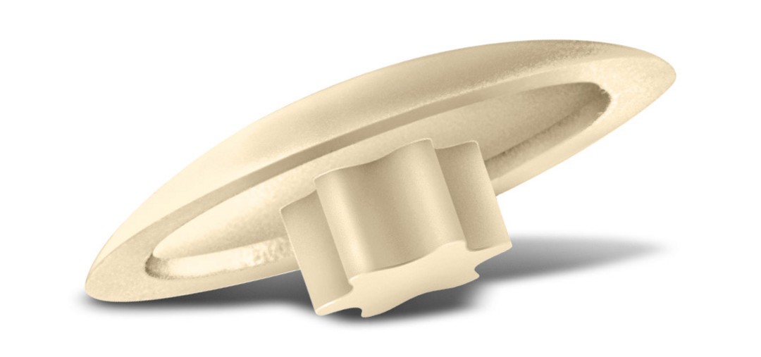 SPAX Tapones de plástico para T-STAR plus T20, beige, 25 unidades