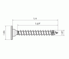 SPAX Cabeza de unión plana para paredes traseras, 3,0 x 20 mm, 25 unidades, rosca completa, cabeza de unión, T-STAR plus, 4CUT, WIROX