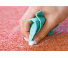 PASO ELIMI MANCHAS ALFOMBRA MOQUET 500ML
