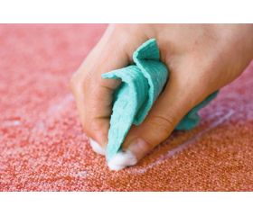 PASO ELIMI MANCHAS ALFOMBRA MOQUET 500ML