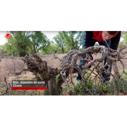 Tijera de Poda PROFESIONAL a Batería de 18V, con motor BRUSHLESS, BPB32 L2012 Set