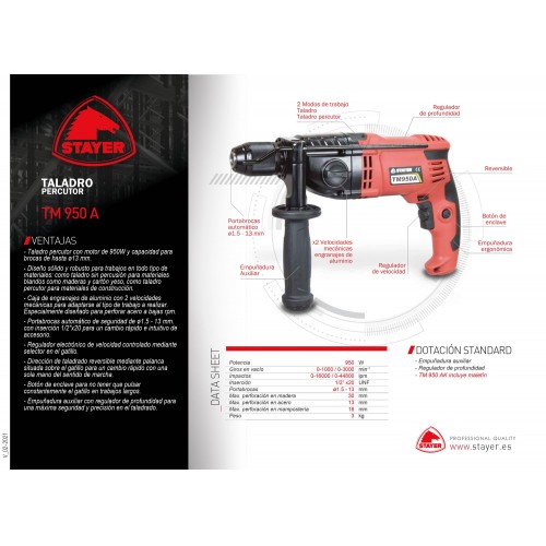 Taladro percutor, TM 950 AK (IKF)