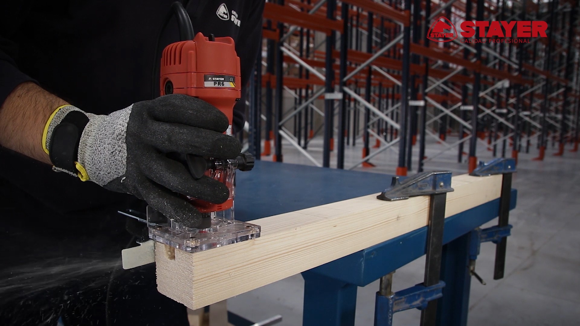 Fresadora PROFESIONAL ligera y potente PR6