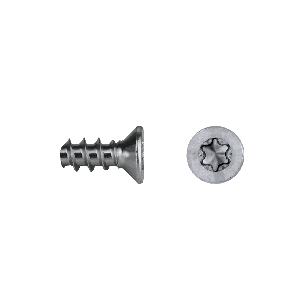 Tornillo para fenólicos zincado 4x10 TX 20 cabeza avellanada