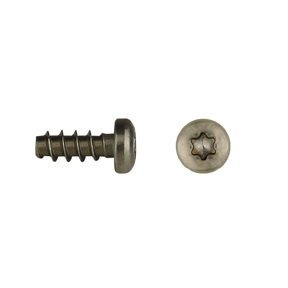 Tornillo para fenólicos inoxidable 4x10 TX 20cabeza alomada
