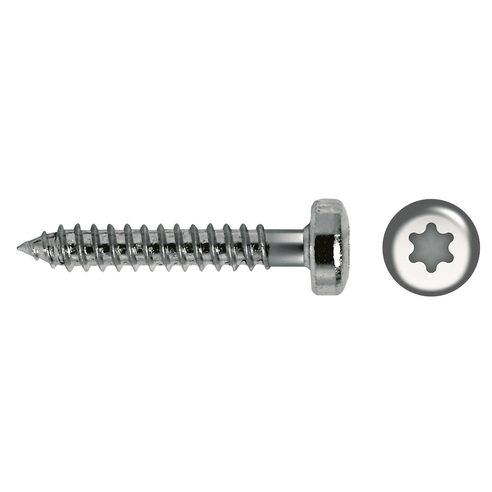 Tornillo 7049T rosca chapa cabeza alomada impronta TORX Ø4,8x80 cincado