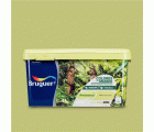 Pintura plástica de interior Amazonas Verde Natural Bruguer 4L