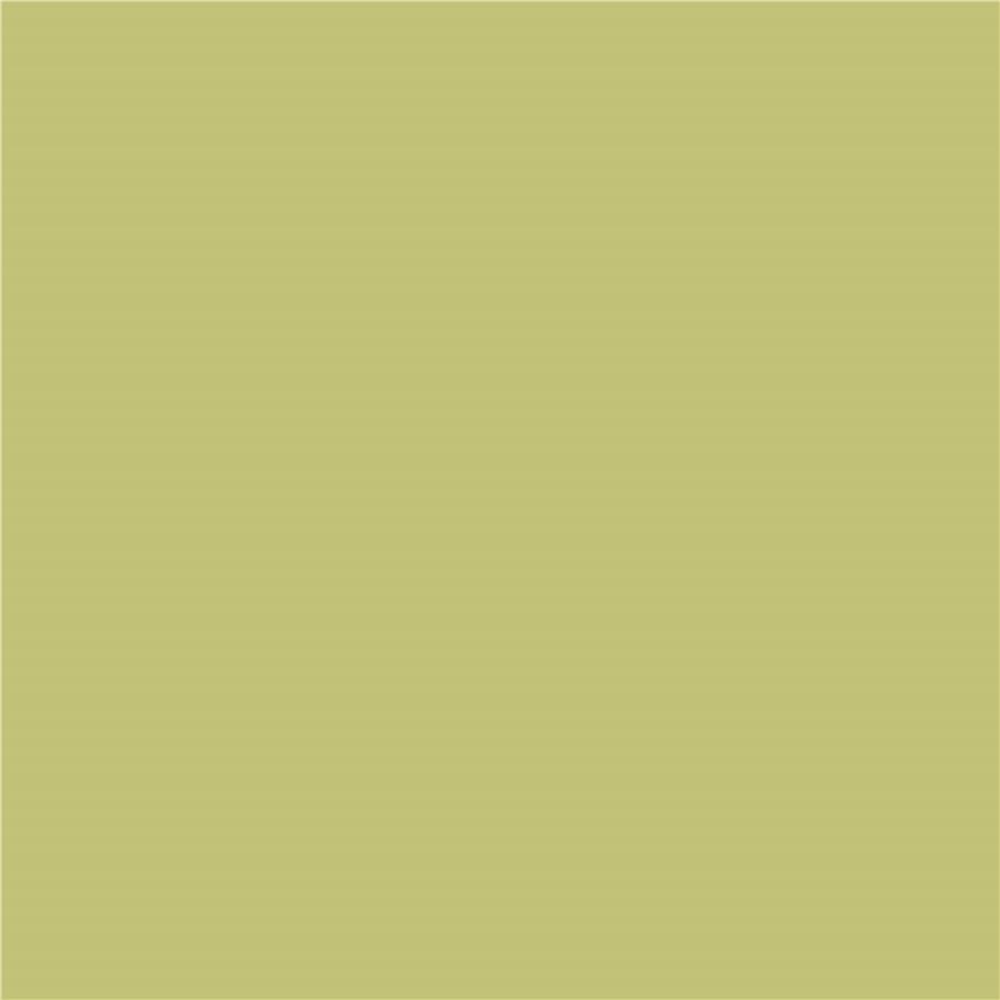 Pintura plástica de interior Amazonas Verde Natural Bruguer 0,750L