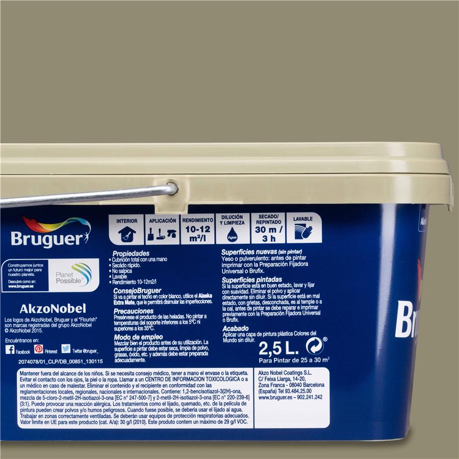 Pintura plástica de interior Japón Verde Bambú  Bruguer 2.5L