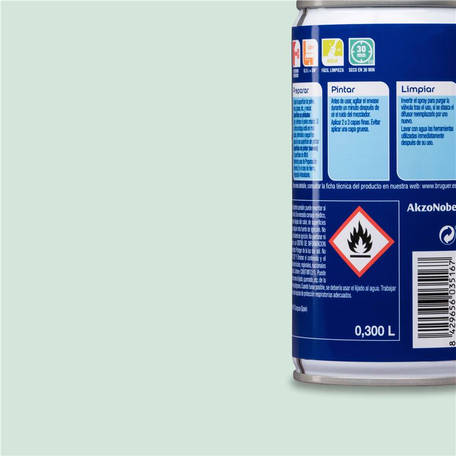 Spray Multisuperficie Mate Bruguer Mint 0,300L