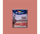 Pintura plástica de interior Colorado Terracota Bruguer 0,750L