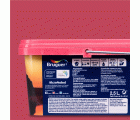 Pintura plástica de interior India Magenta Sari Bruguer 2.5L