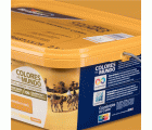 Pintura plástica de interior Sahara Amarillo Camel Bruguer 2.5L