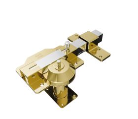 AMIG 22019 | Cerrojo alta seguridad  1PLUS | 90 x 154 mm | Acero | Oro