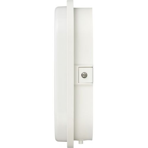 Aplique/plafón LED ovalado OL 1650 de 15W (1680lm, 4000K, IP65) clase de eficacia energética F