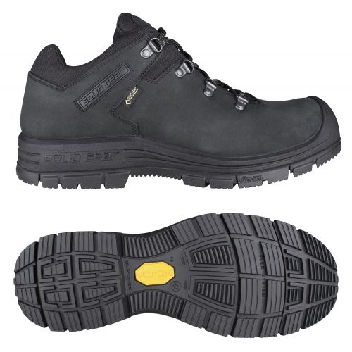 Alpha zapato S3 GTX T.39