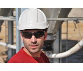 Gafas de seguridad polarizadas EAGLE