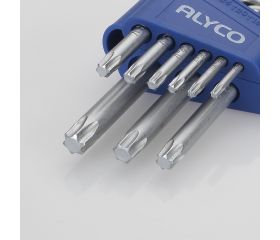 Juego De Llaves Torx, Soporte De Plástico ALYCO
