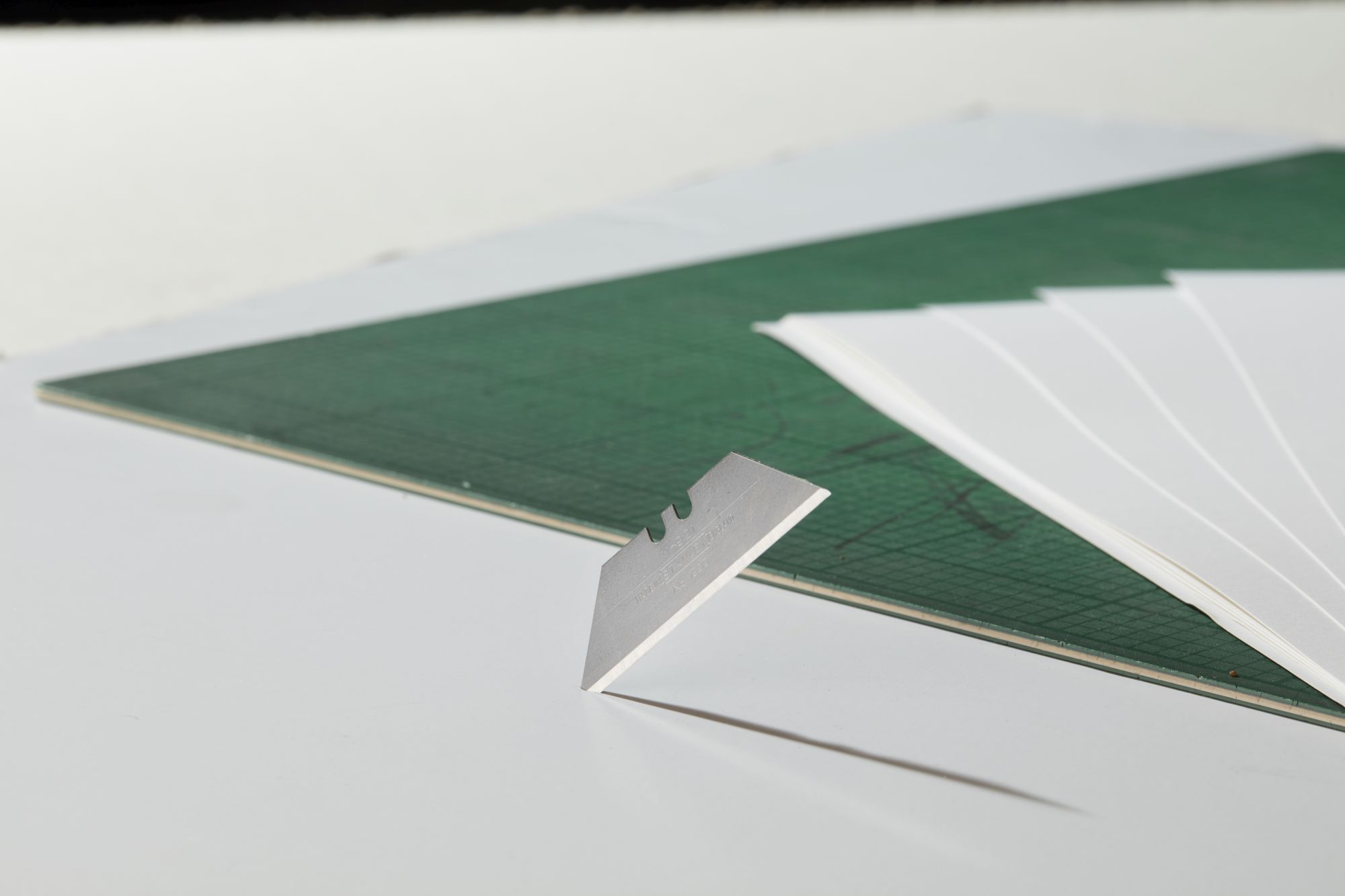 Hojas de Cuchillo 1992 - Dispensador 10 hojas