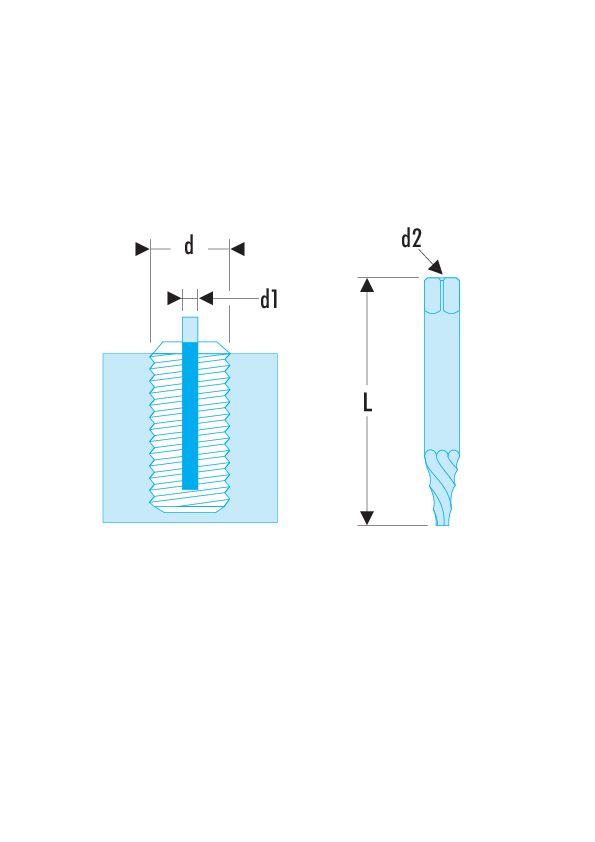 285 - Extractores de espárragos por unidad, paso a derechas