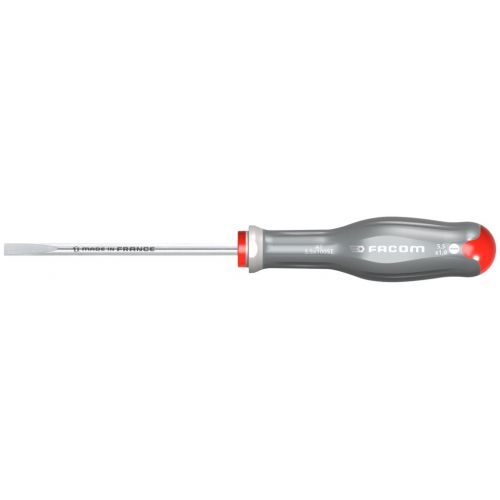 DESTORNILLADOR PLANO 5.5X100 INOX