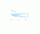 Cizalla universal contorneadora a derechas