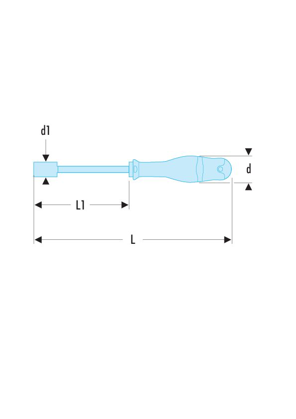 Destornillador porta-puntas con trinquete PROTWIST® + 15 puntas