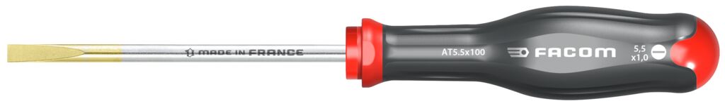 DESTORNILLADOR PLANO 5.5X100